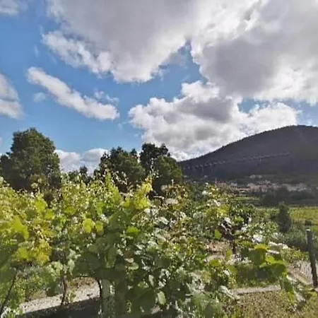 Casa Raiz Σπίτι διακοπών *