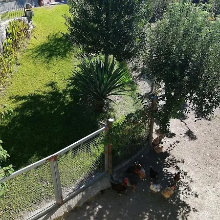 Holiday home Casa Raiz Ponte de Lima