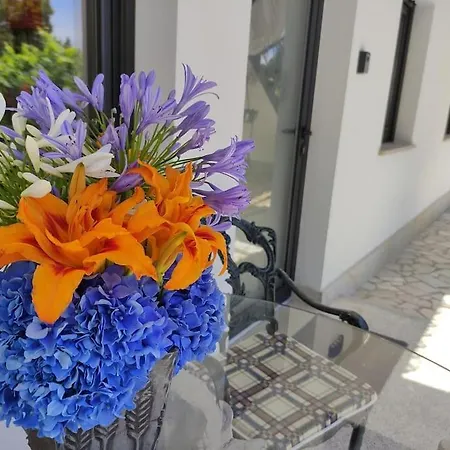 Holiday home Casa Raiz *