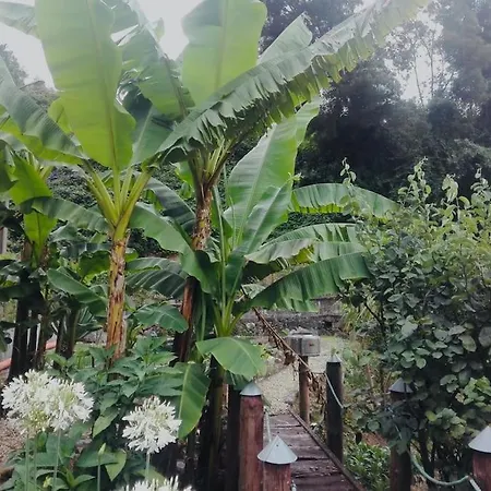 Casa Raiz *