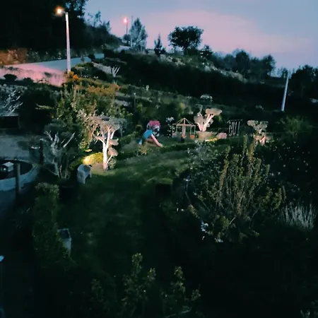 Casa Raiz