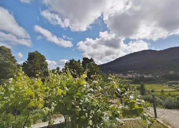 Casa Raiz Hébergement de vacances *