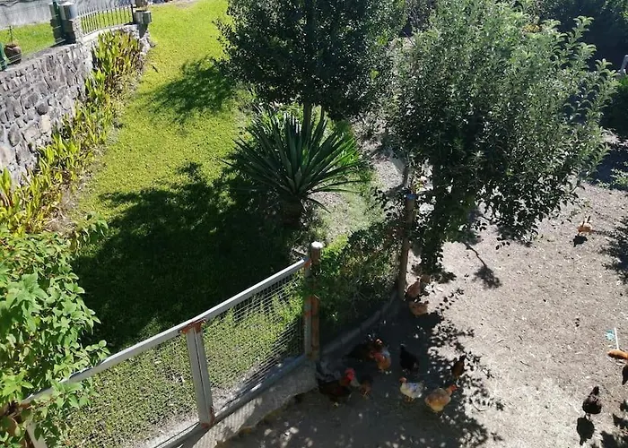 Hébergement de vacances Casa Raiz Ponte de Lima