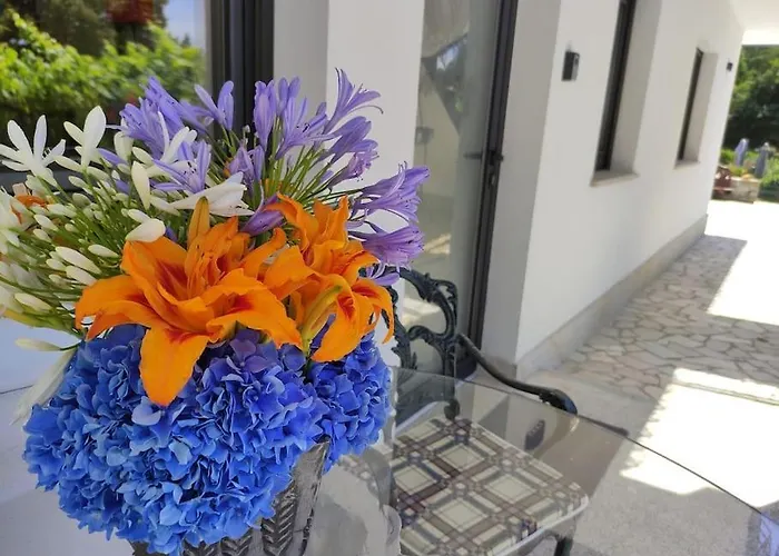 Semesterbostad Casa Raiz *